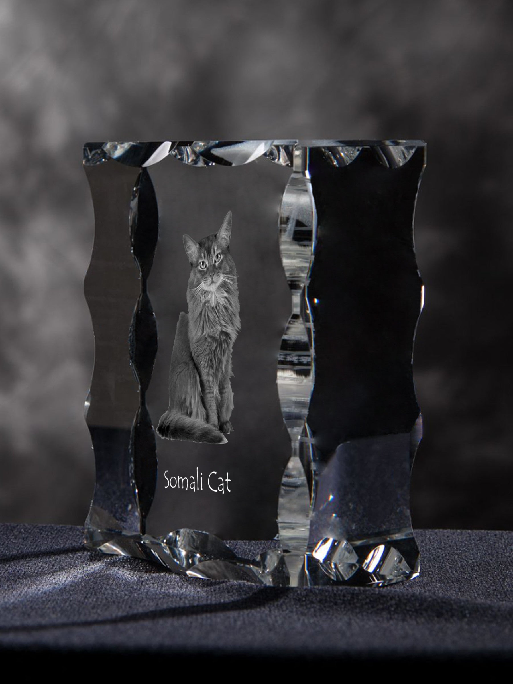 Somali - crystal with a cat picture, glass statuette with a picture, unique frame with a picture from Art-Dog brand