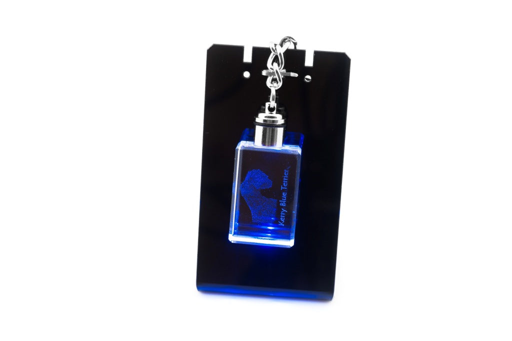Kerry Blue Terrier, Irish Blue Terrier - Crystal key ring with dog photo, illuminated key ring, unique gift by Art-Dog brand