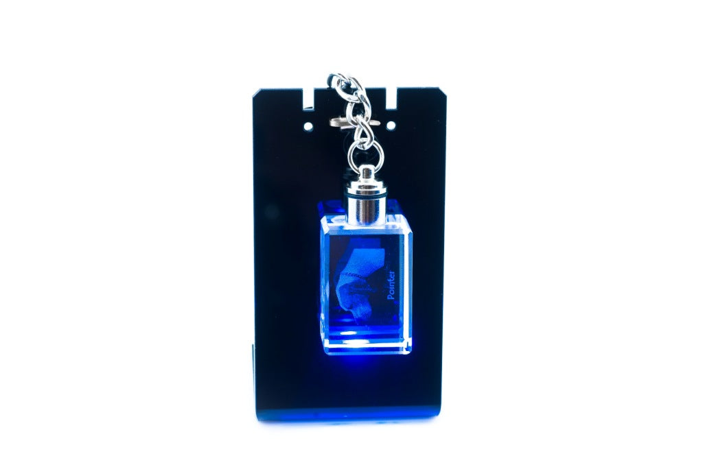 English Pointer I - Crystal key ring with dog photo, illuminated key ring, unique gift by Art-Dog brand