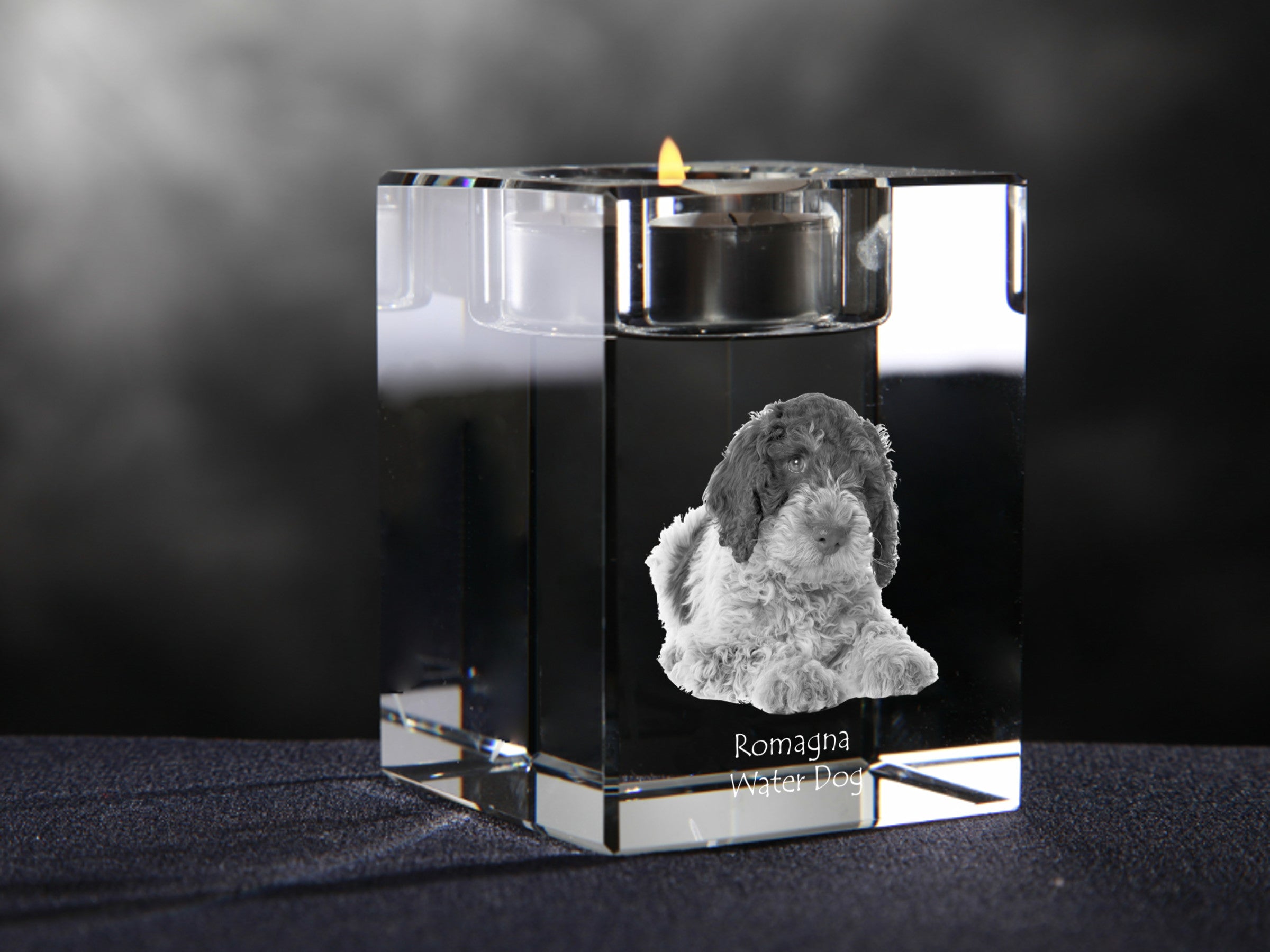 Romagna Water Dog - Candle holder with dog photo, crystal tealight holder, personalised gift by Art-Dog brand