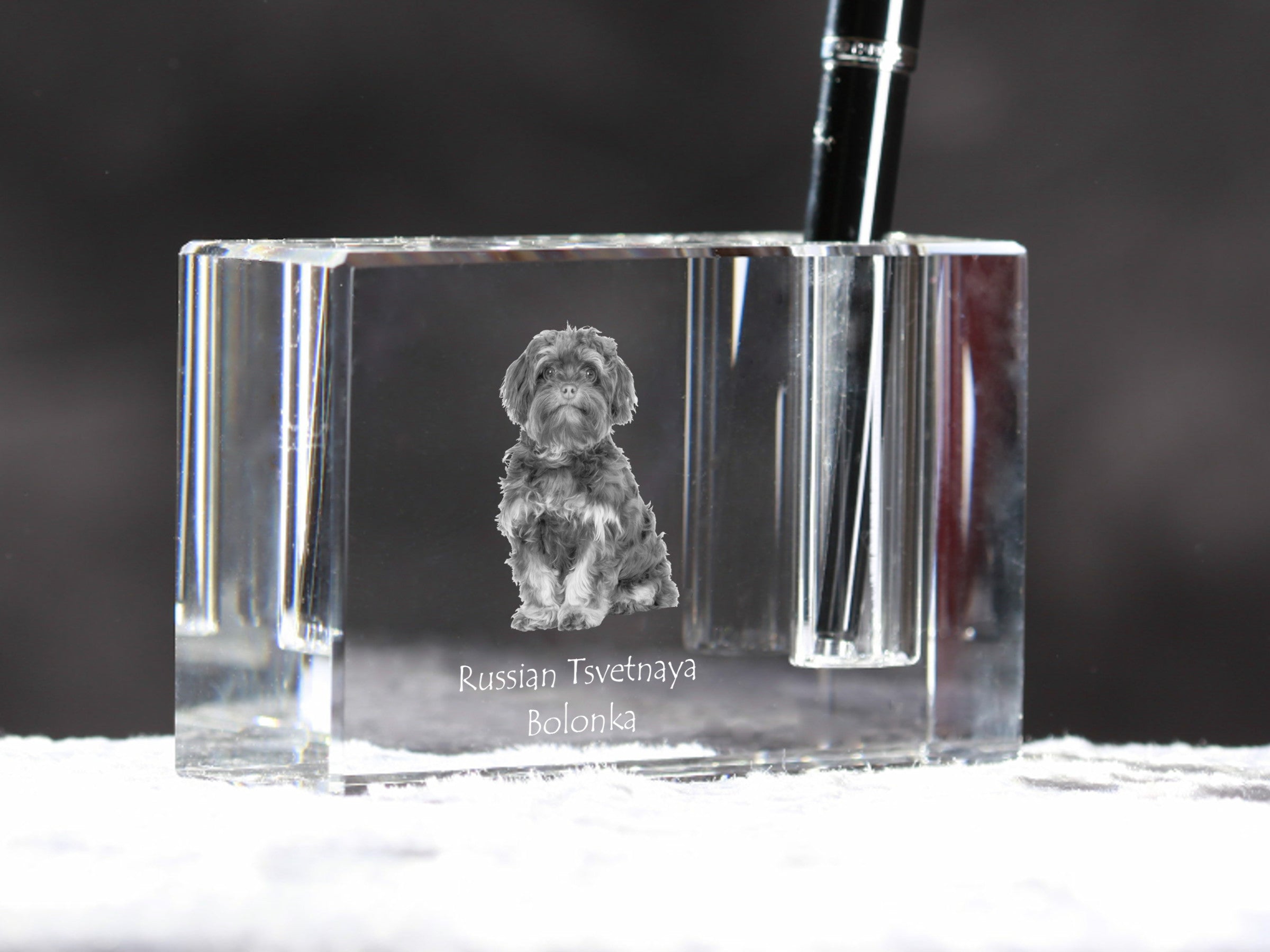Bolonka, Russian Tsvetnaya Bolonka - Pen stand, crystal organiser with dog photo, unique desk decoration by Art-Dog brand