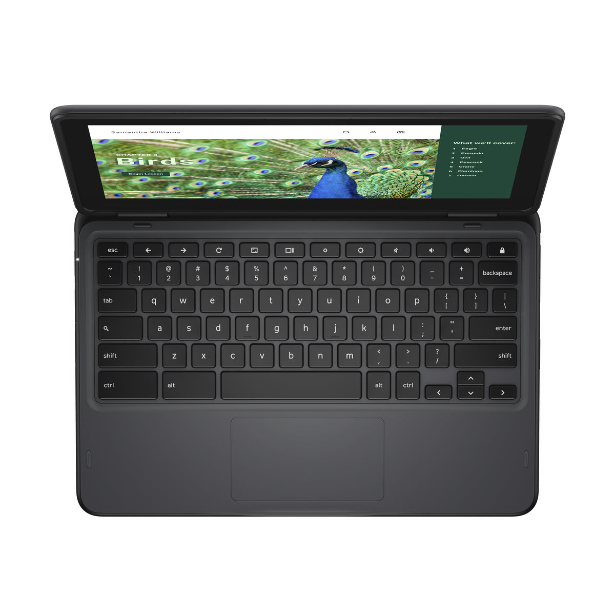 DELL Chromebook 3120 2-in-1, Intel N100, 11.6" Écran Tactile HD, 4 Go LPDDR5, 64 Go eMMC, Wi-Fi 6, ChromeOS, Noir