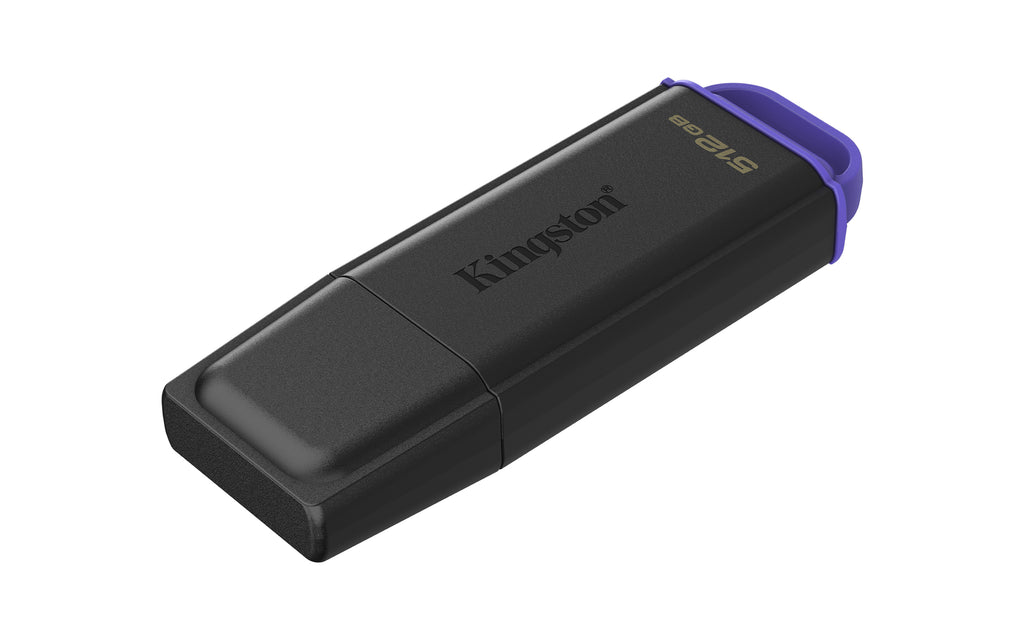 Kingston Technology DataTraveler 512Go Stockage portable USB 3.2 Gen 1 Exodia Noir + Violet