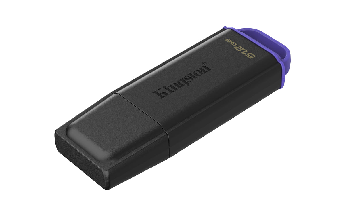 Kingston Technology DataTraveler 512Go Stockage portable USB 3.2 Gen 1 Exodia Noir + Violet