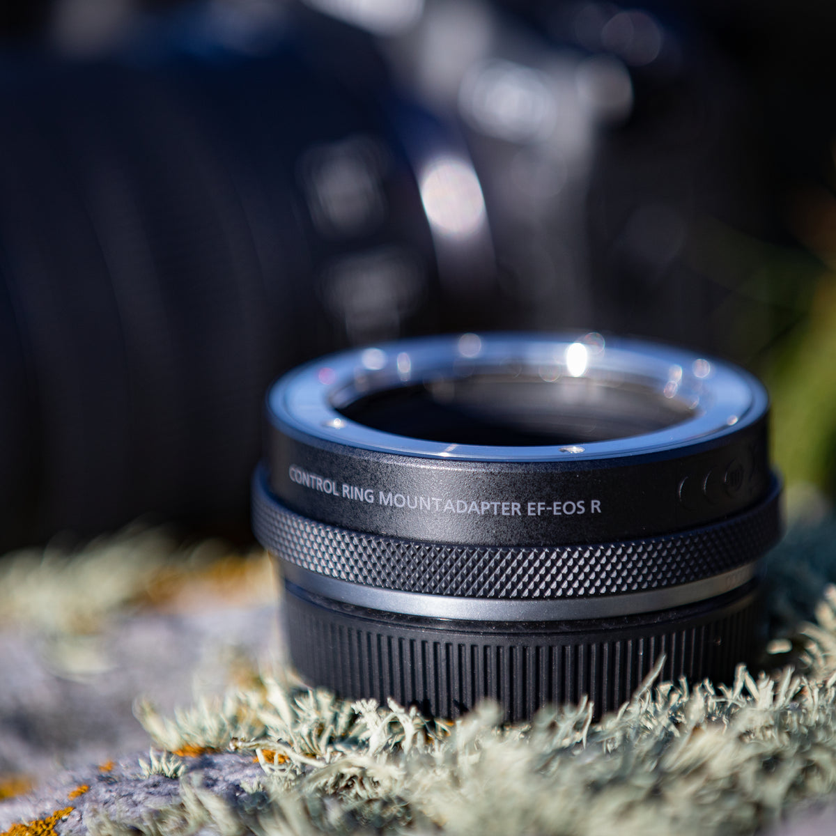 Canon Bague d'adaptation EF-EOS R avec bague de réglage