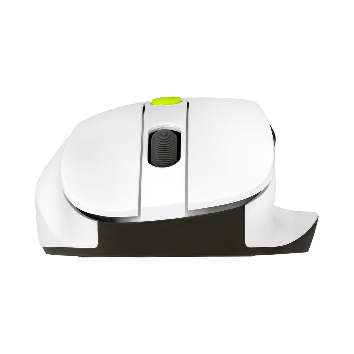 ASUS MD105 MOUSE/VT-GN souris Universel Droitier RF sans fil + Bluetooth 2400 DPI