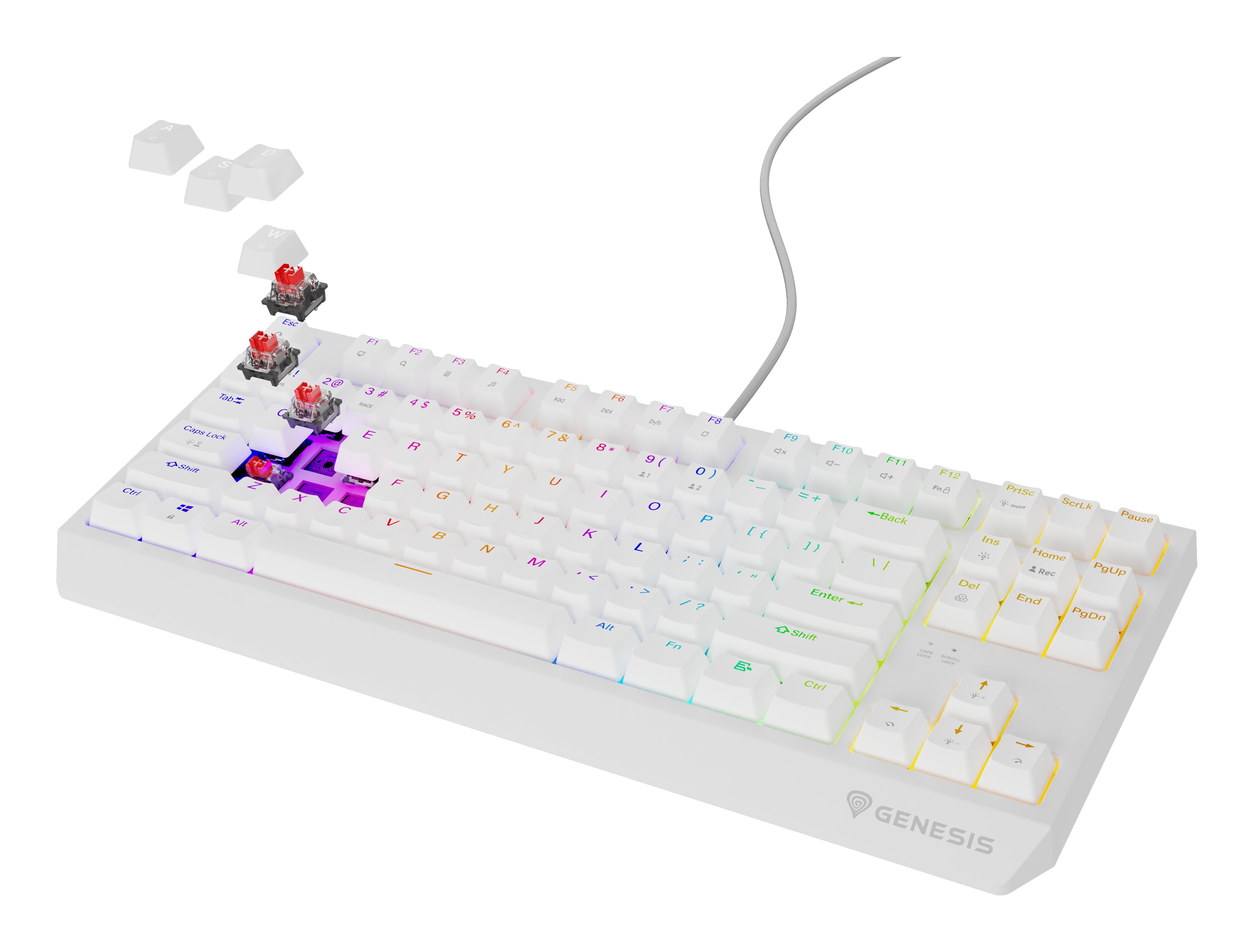 GENESIS Thor 230 TKL clavier Gaming USB QWERTY Anglais américain Blanc