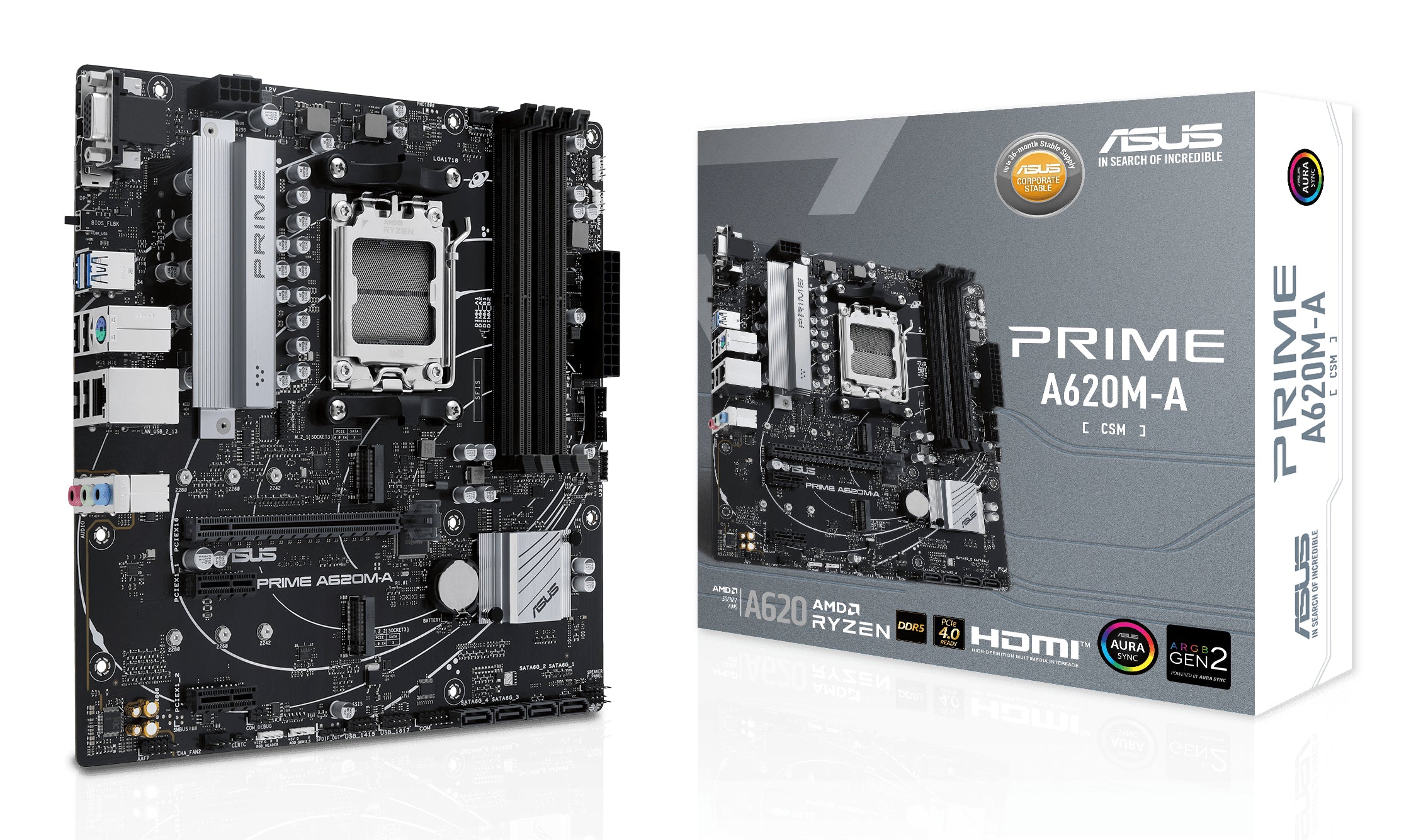 ASUS PRIME A620M-A-CSM AMD A620 Emplacement AM5 micro ATX