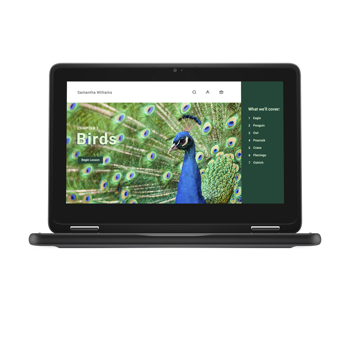 DELL Chromebook 3120 2-in-1, Intel N100, 11.6" Écran Tactile HD, 4 Go LPDDR5, 64 Go eMMC, Wi-Fi 6, ChromeOS, Noir