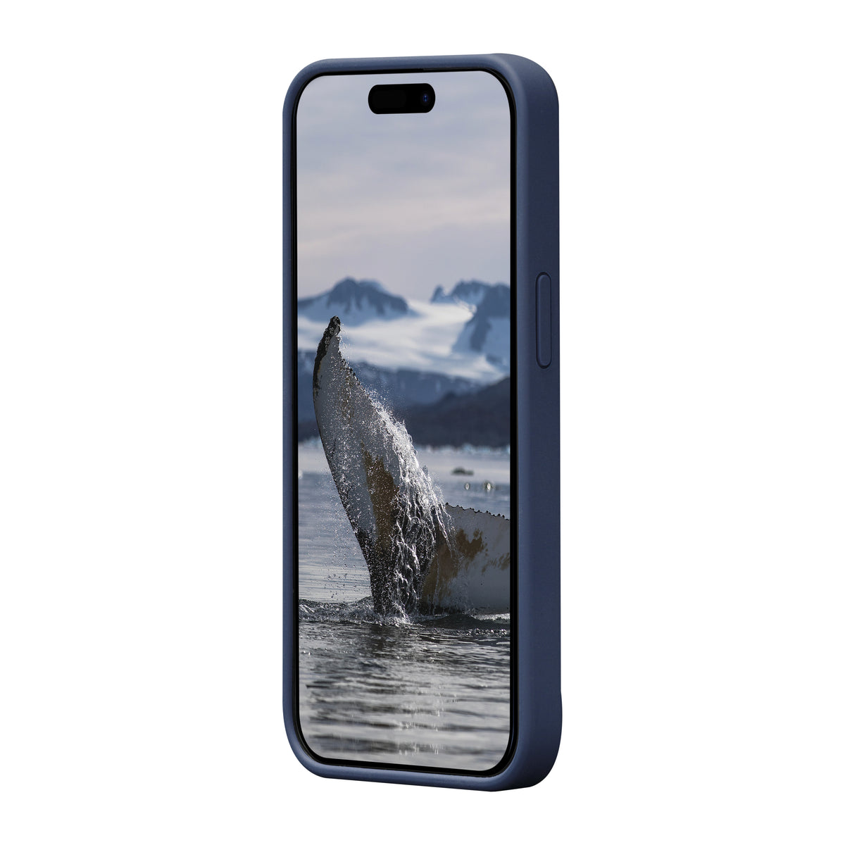dbramante1928 Monaco MS coque de protection pour téléphones portables Housse Bleu - vue 3