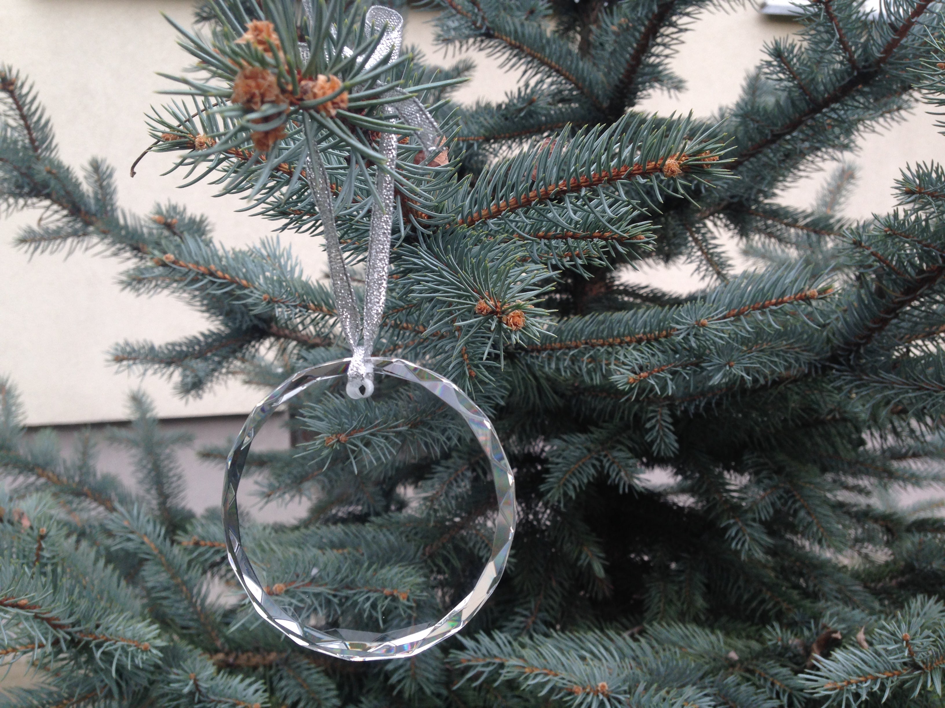 French Spaniel, French Setter, Canadian Setter - crystal bauble with a photo, dog photo in crystal, personalized Christmas tree ornament by Art-Dog brand