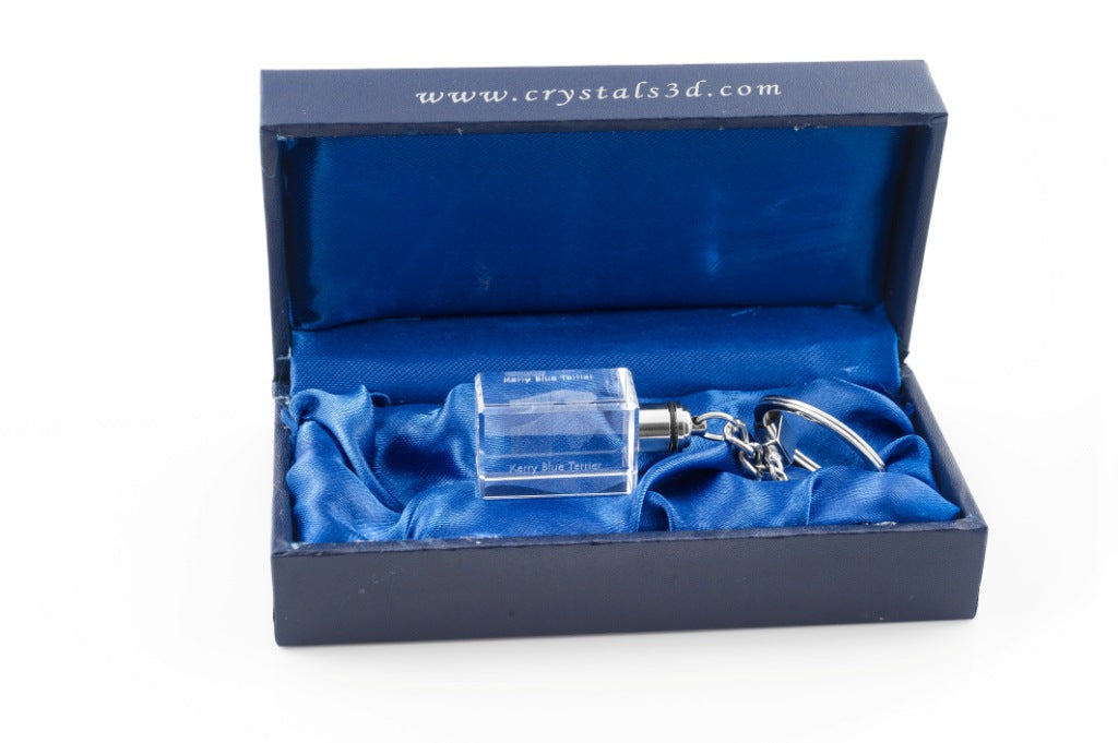 Kerry Blue Terrier, Irish Blue Terrier - Crystal key ring with dog photo, illuminated key ring, unique gift by Art-Dog brand