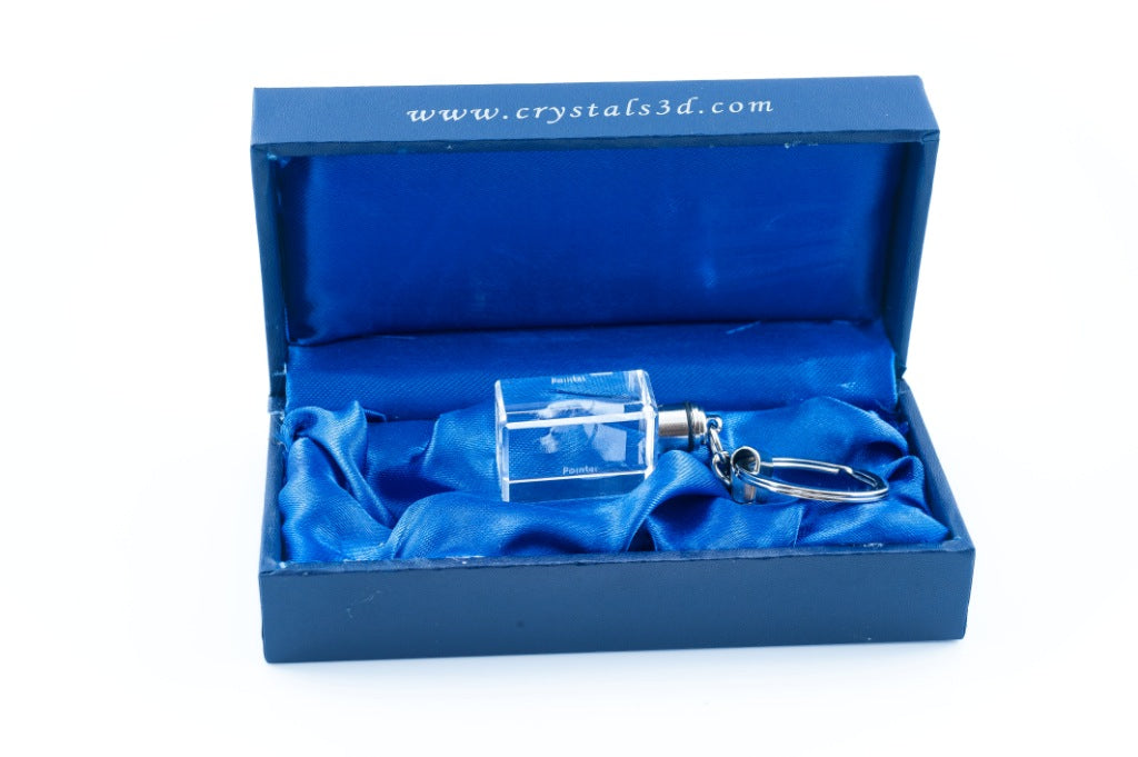 English Pointer I - Crystal key ring with dog photo, illuminated key ring, unique gift by Art-Dog brand