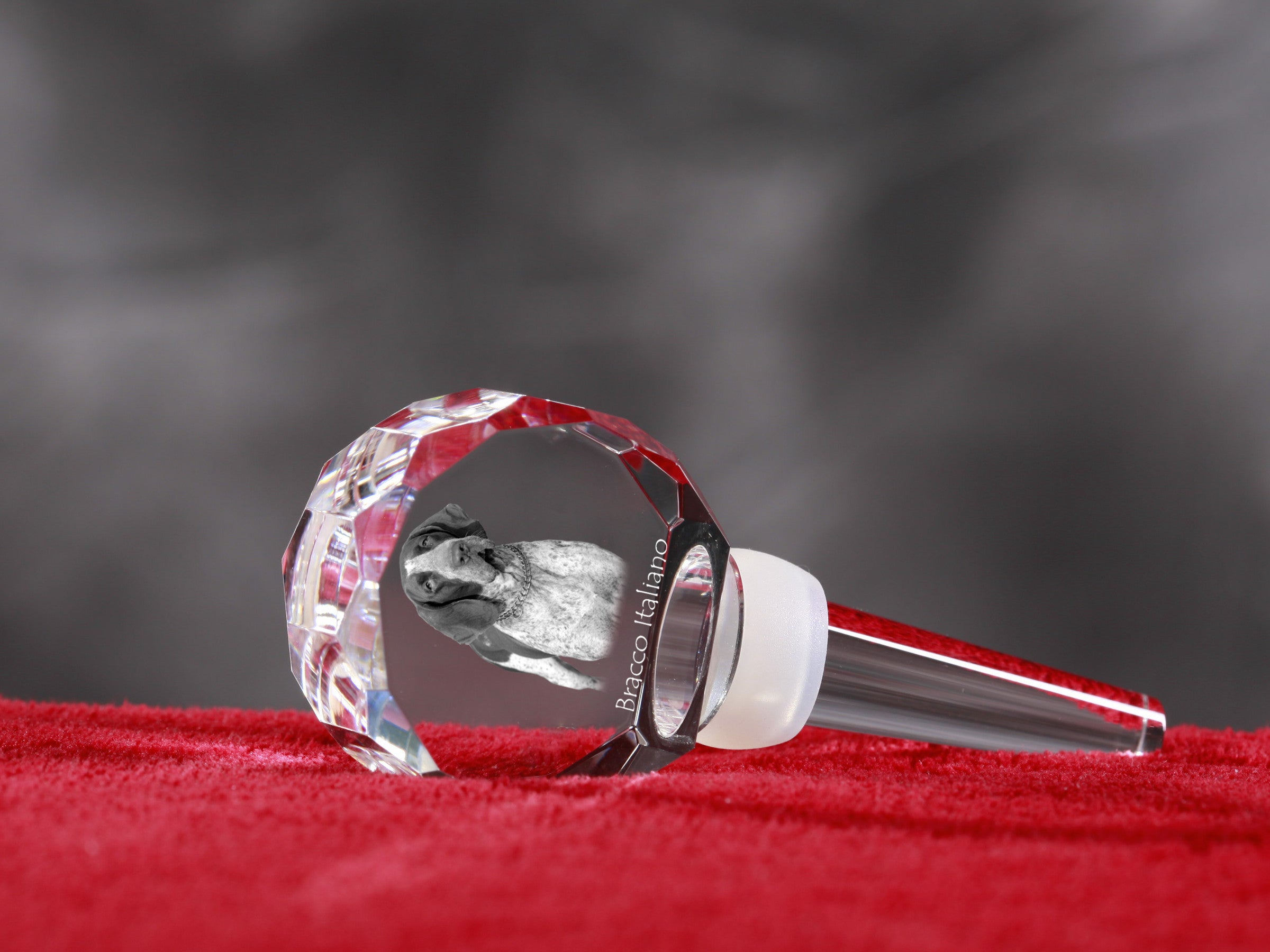 Italian Pointing Dog, Bracco Italiano, Italian Pointer - Crystal bottle stopper, unique wine stopper with photo, personalised gift for sommelier by Art-Dog brand