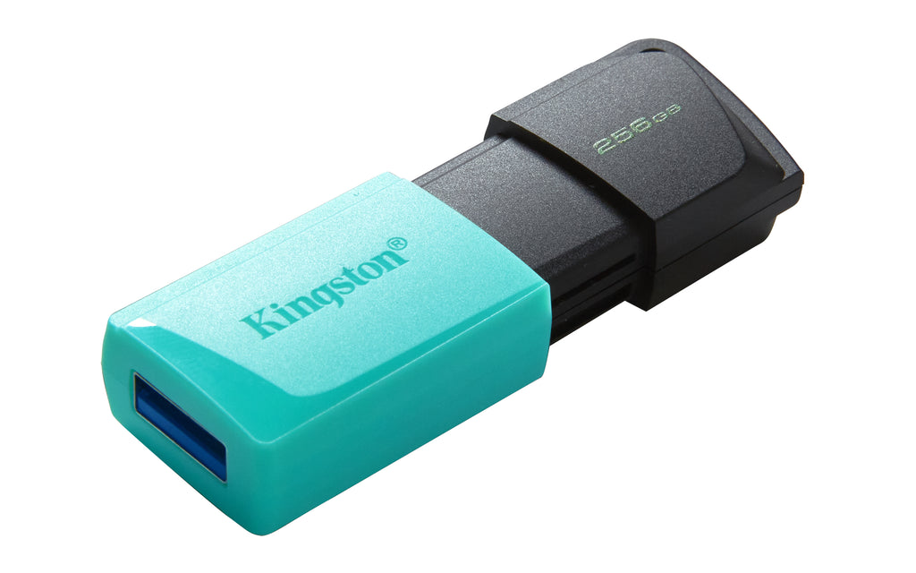 Kingston Technology DataTraveler 256GB USB3.2 Gen1 Exodia M (Noir + Turquoise)