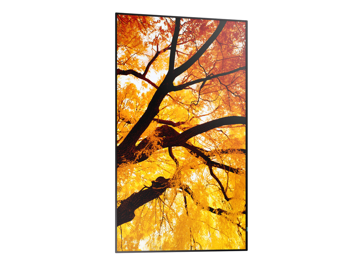 Sharp MultiSync M502 Écran plat de signalisation numérique 127 cm (50") LCD 550 cd/m² 4K Ultra HD Noir 24/7