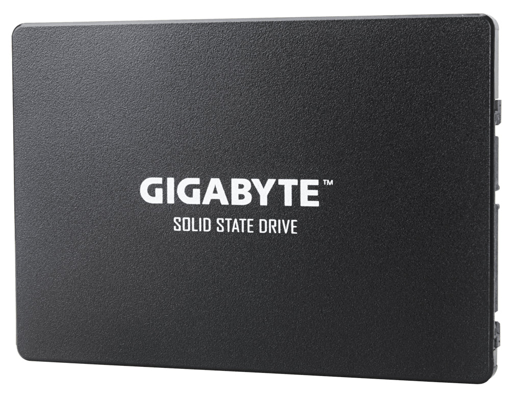 GIGABYTE GP-GSTFS31100TNTD SSD 1 To 2.5" SATA