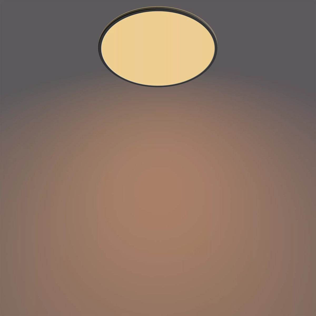 Philips Plafonnier LED Super Slim 36 W SceneSwitch