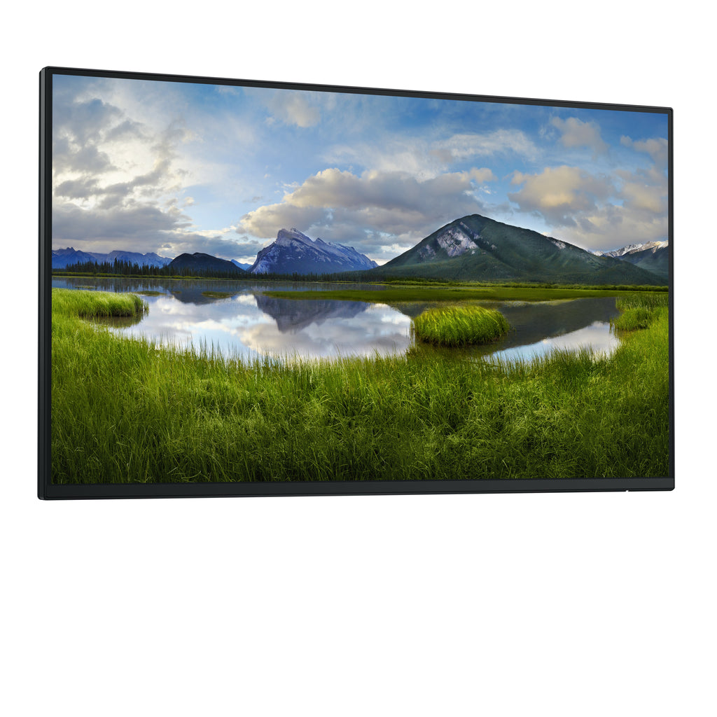 DELL Pro Plus P2425HE_WOST écran plat de PC 61 cm (24") 1920 x 1080 pixels Full HD LCD Noir