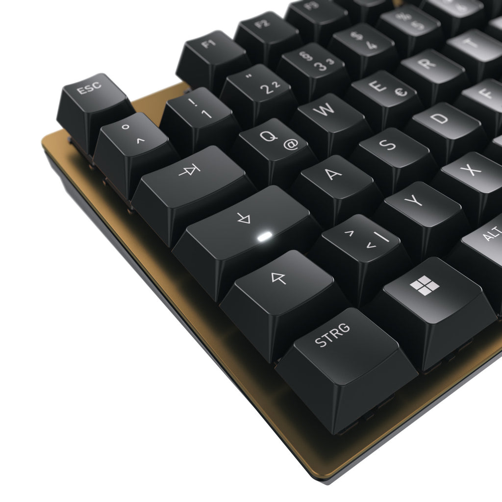 CHERRY KC 200 MX clavier Universel USB QWERTZ Allemand Noir, Bronze