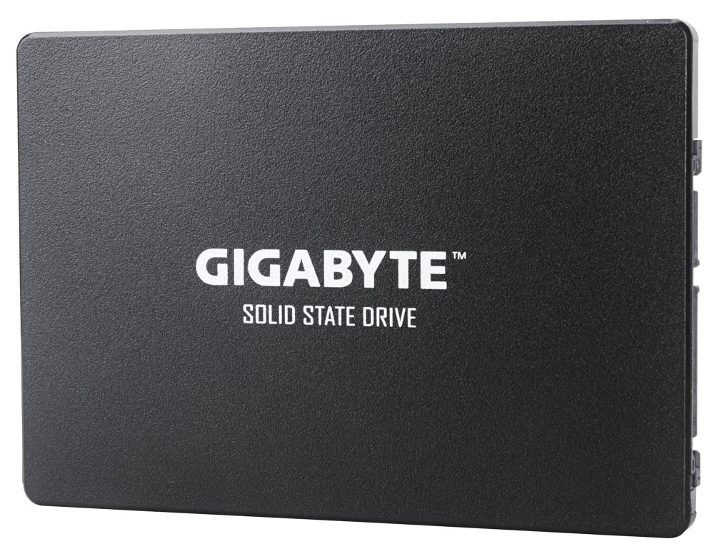 GIGABYTE GP-GSTFS31256GTND SSD 256 Go 2.5" ATA III V-NAND