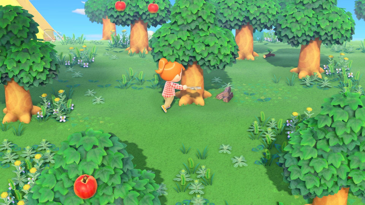 Nintendo Animal Crossing : New Horizons Standard Nintendo Switch