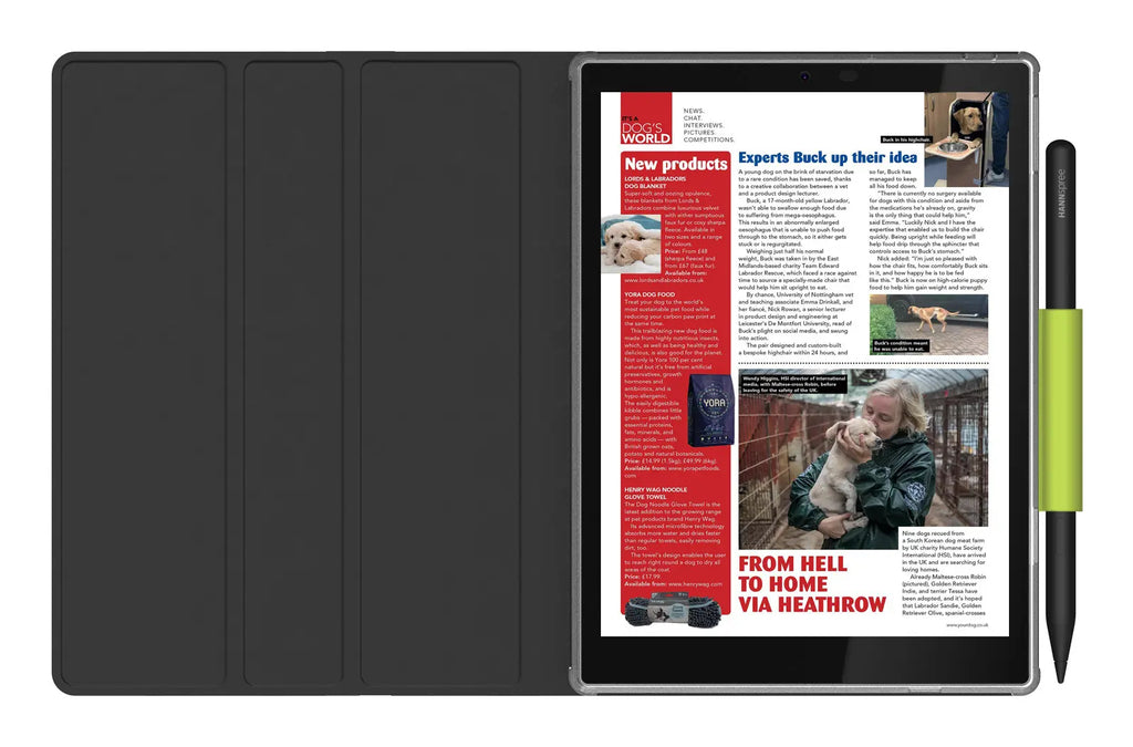 Hannspree Lumo 7.8 Reader Tablet 64 Go 19,8 cm (7.8") Android Noir