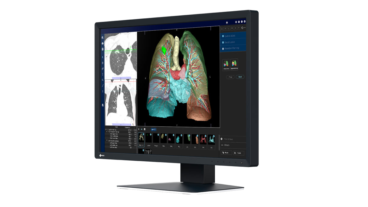 EIZO RadiForce MX243W Écran LCD 24.1" WUXGA 1920 x 1200 Noir