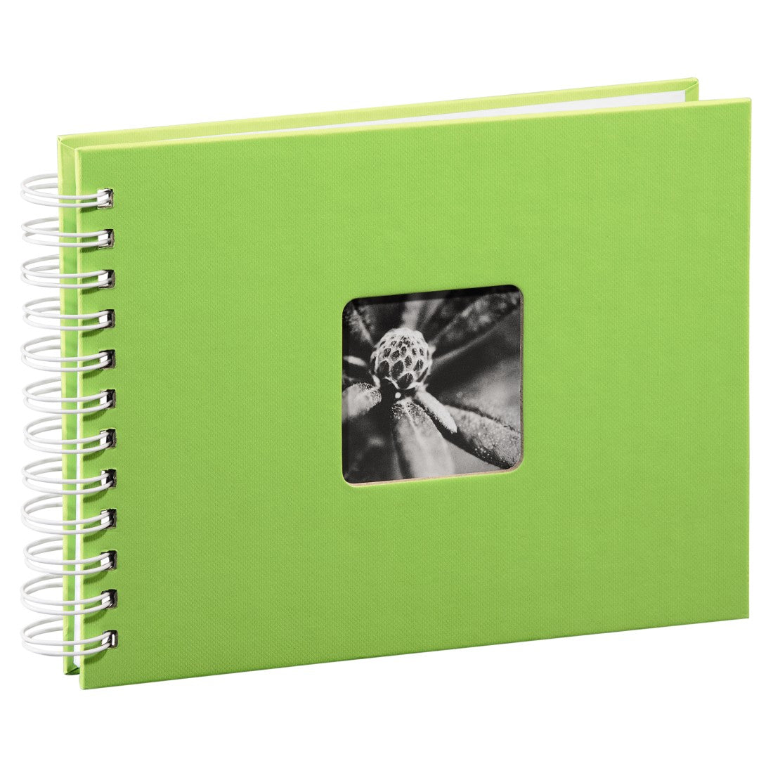 Hama Fine Art Album Photo avec Protège-pages, Vert, 50 Feuilles, 10 x 15 cm