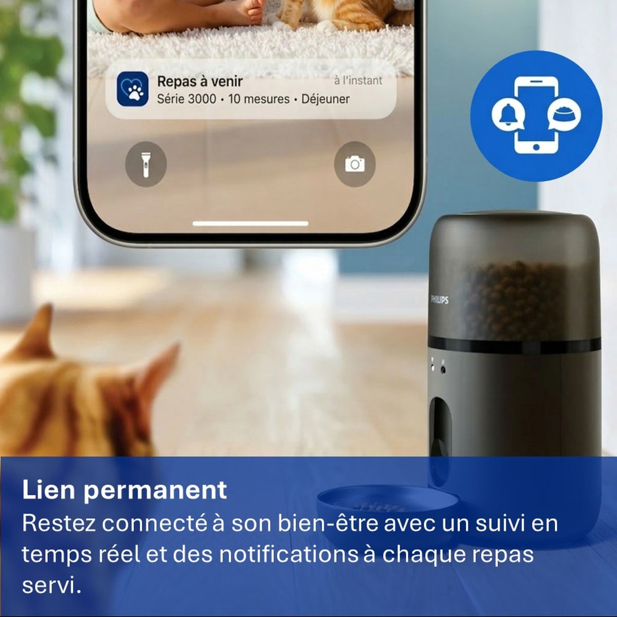 Philips Distributeur de croquette Connecté - PAW3300/02