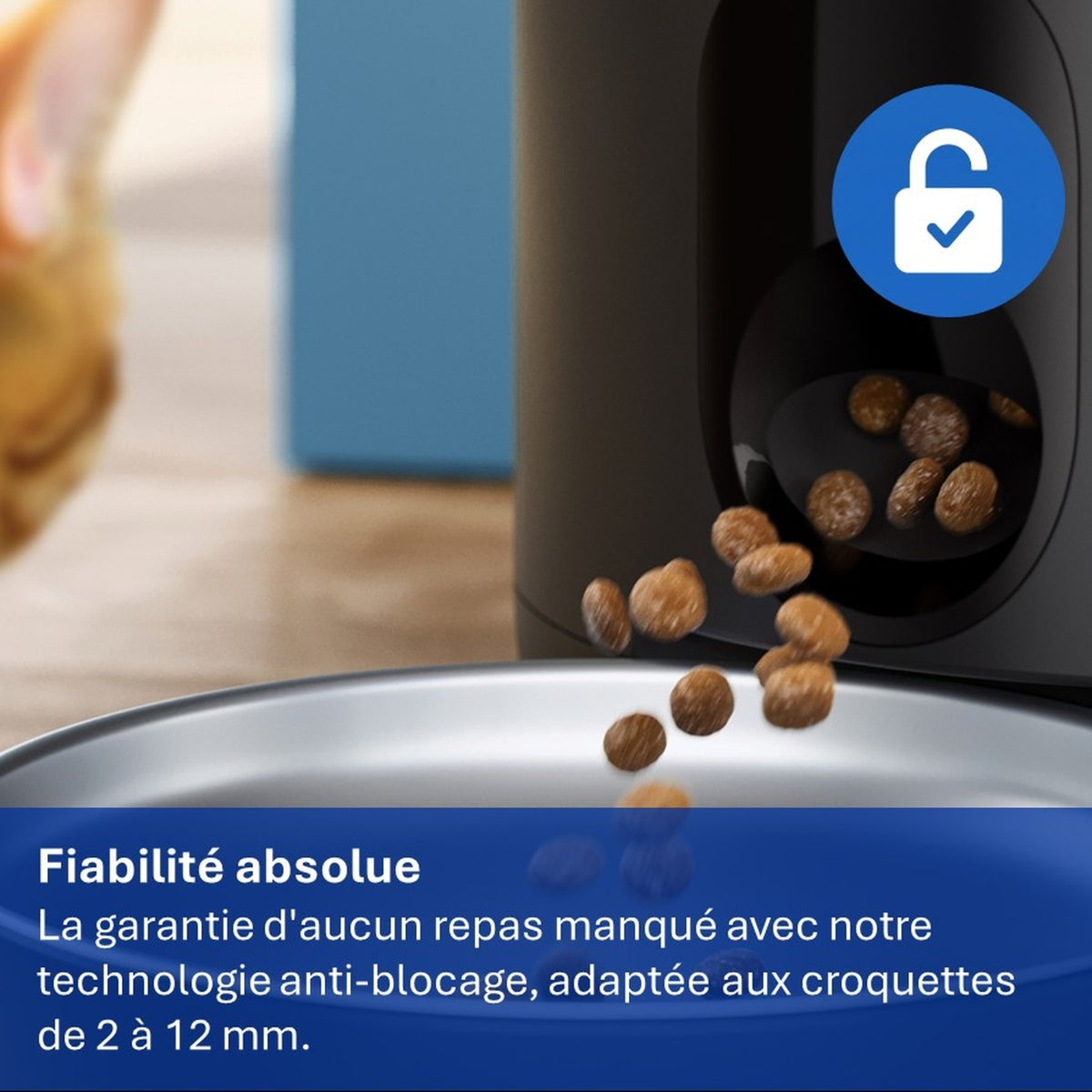 Philips Distributeur de croquette Connecté - PAW3300/02
