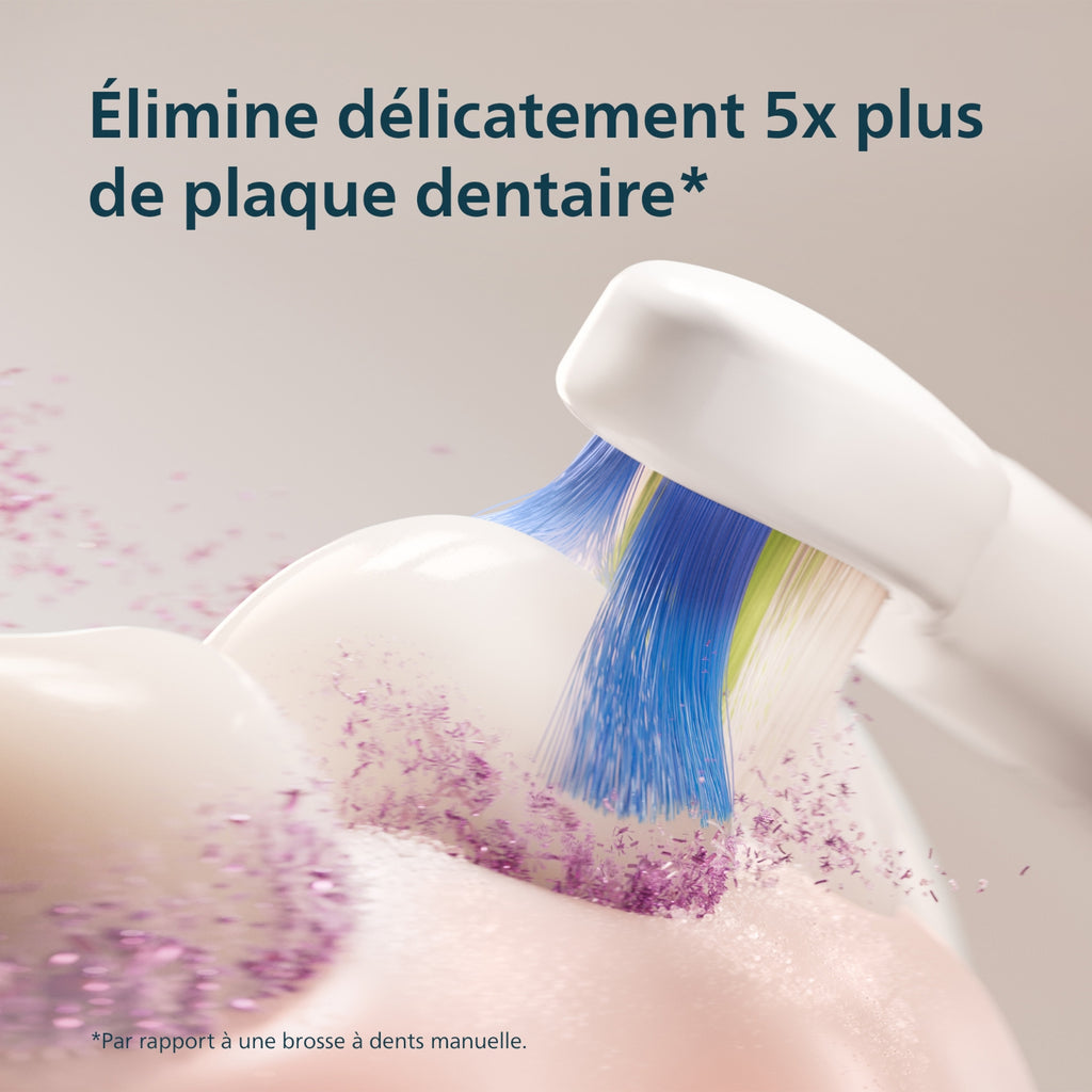 Philips Brosse à dent électrique Rechargeable Serie 3100 - HX4032/21