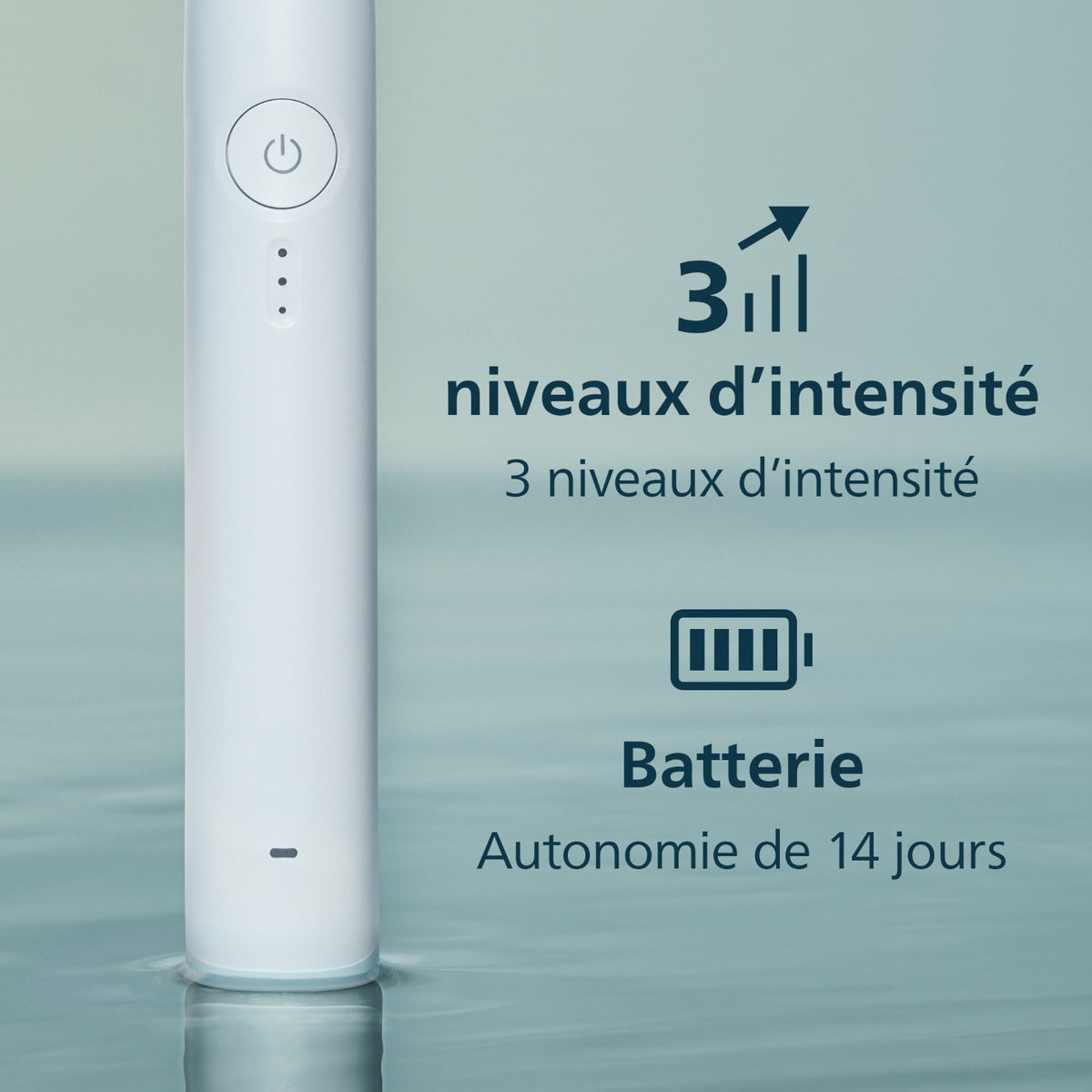 Philips Brosse à dent électrique Rechargeable Serie 3100 - HX4032/21