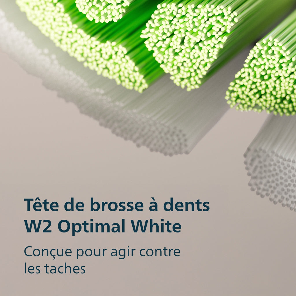 Philips Brosse à dent électrique Rechargeable Serie 3100 - HX4032/21