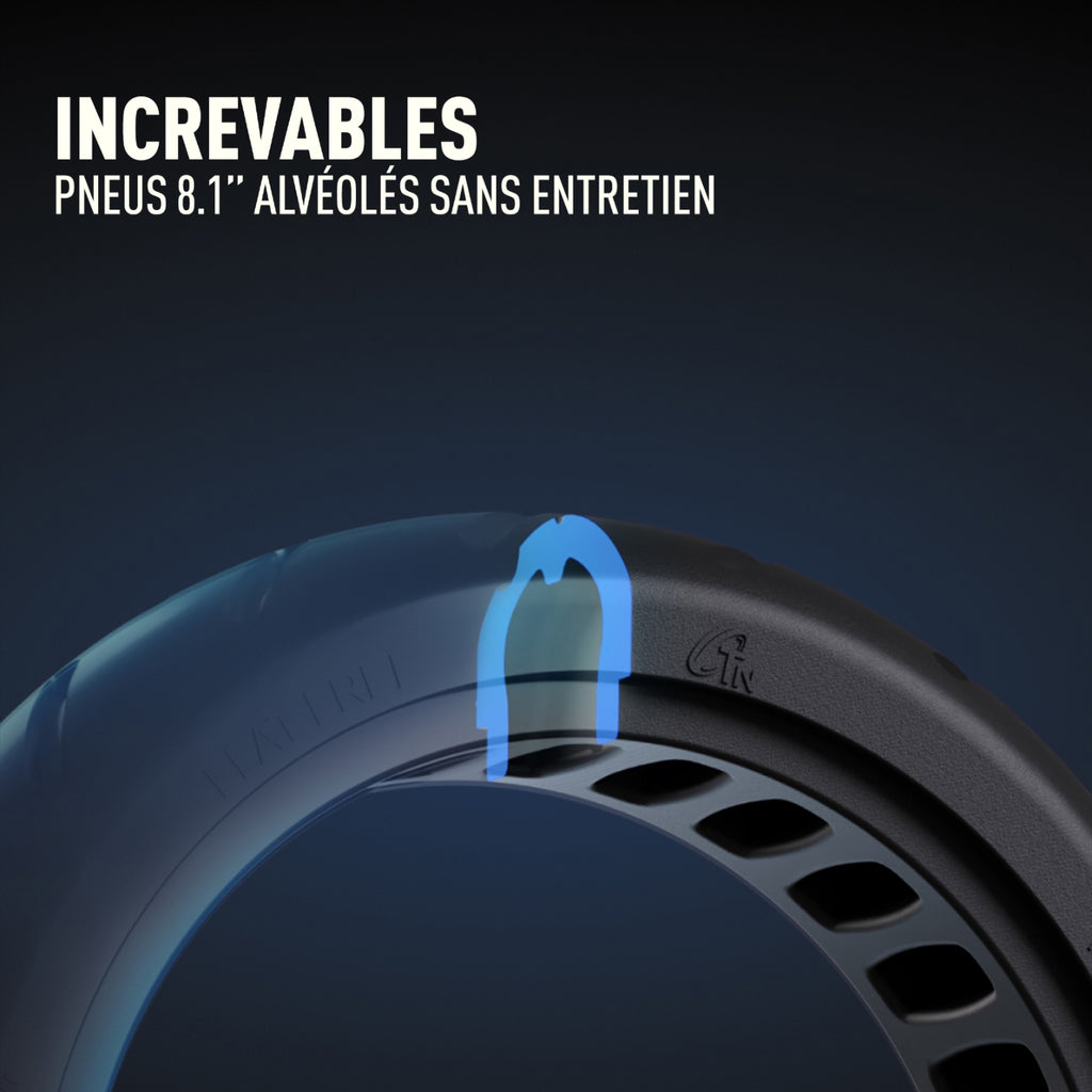 Segway Trottinette électrique Ninebot E2 E II