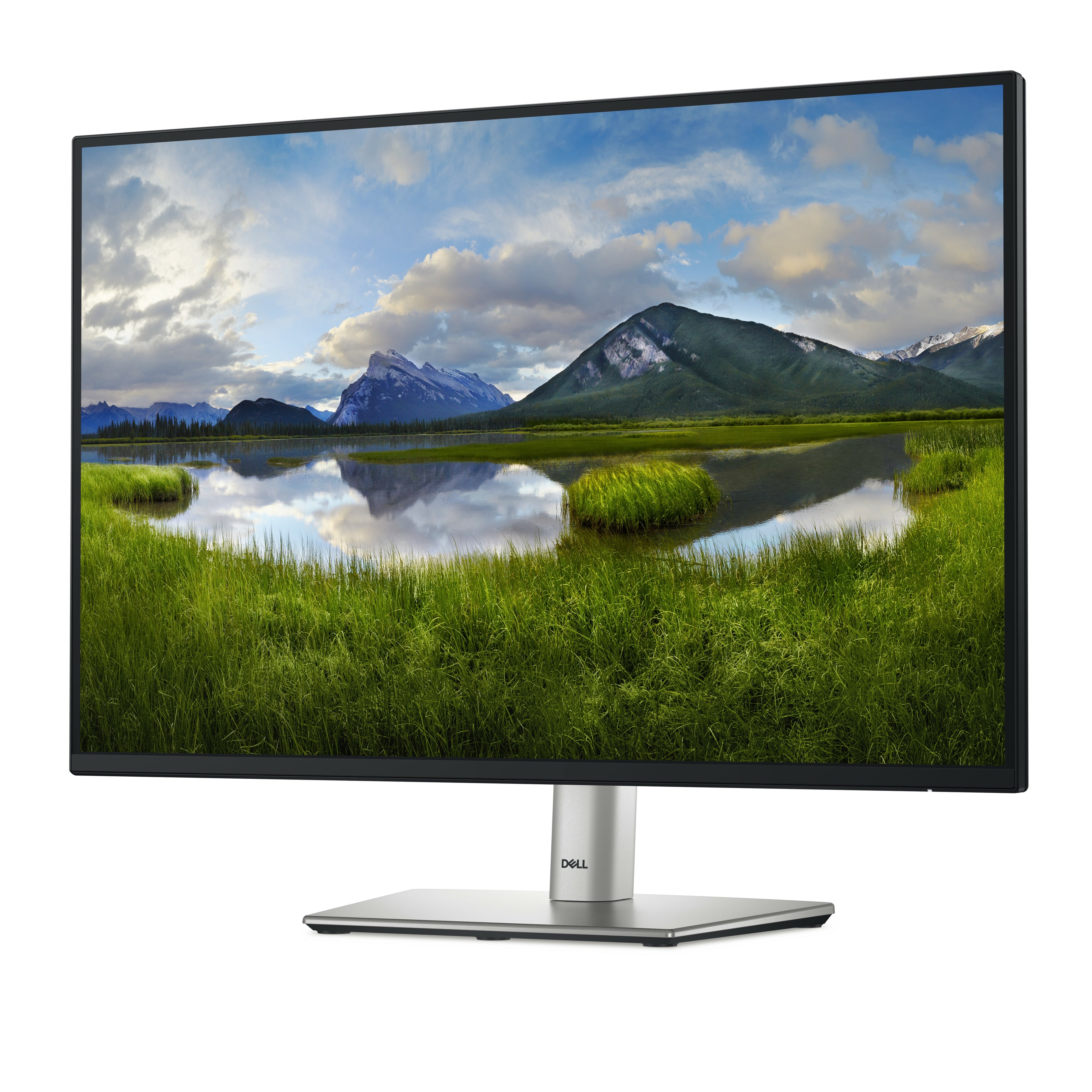 DELL Pro Plus P2425 écran plat de PC 61,1 cm (24.1") 1920 x 1200 pixels WUXGA LCD Noir