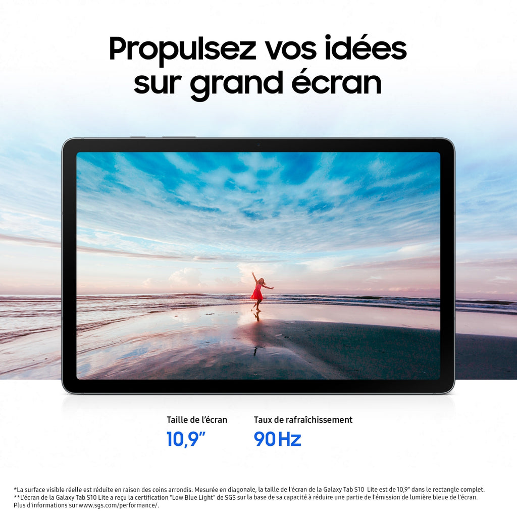 Samsung Tablette tactile Galaxy Tab S10 Lite 10,9'' 128 Go