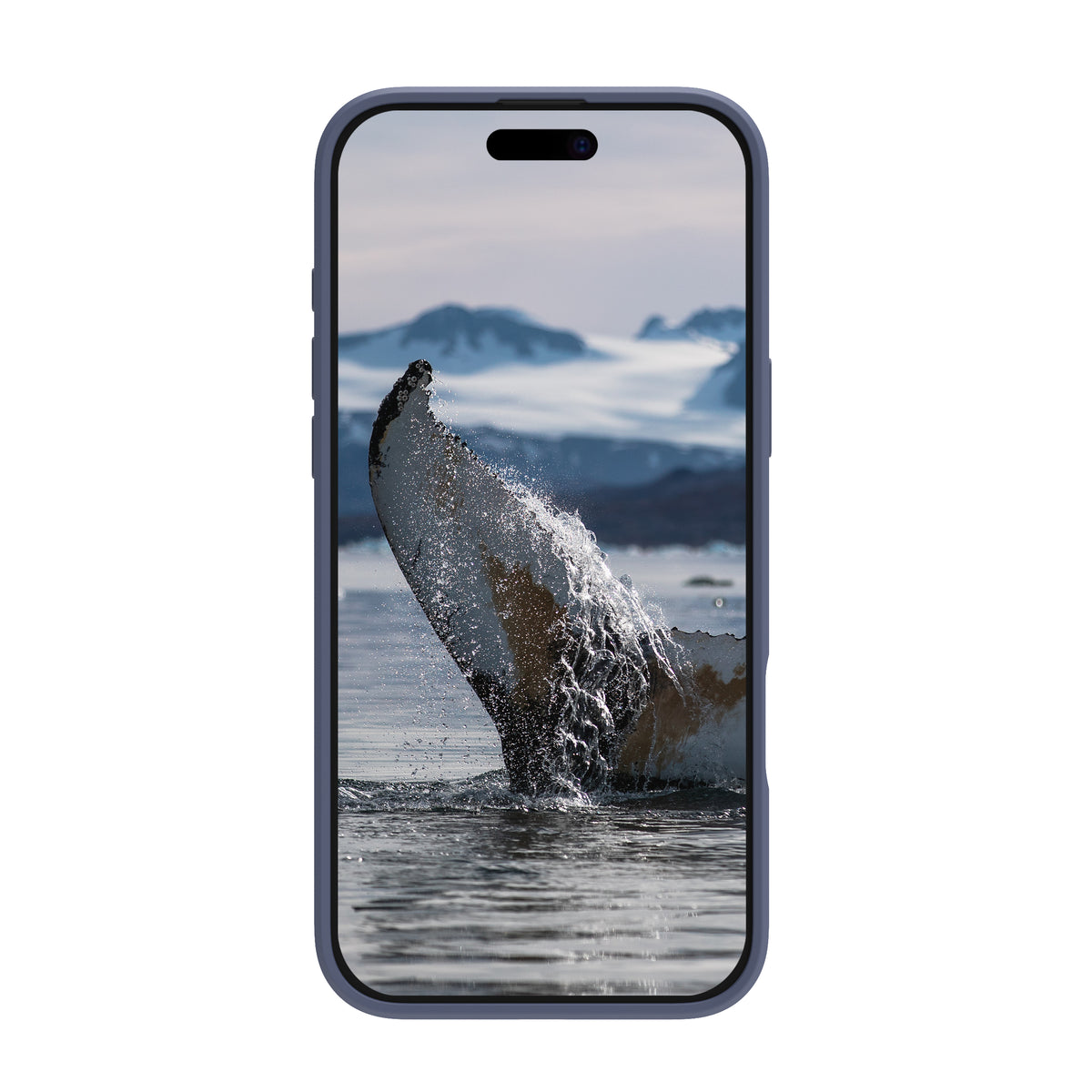 dbramante1928 Greenland Pro MS Coque de Protection pour iPhone 16 Pro Max 6.9", Bleu