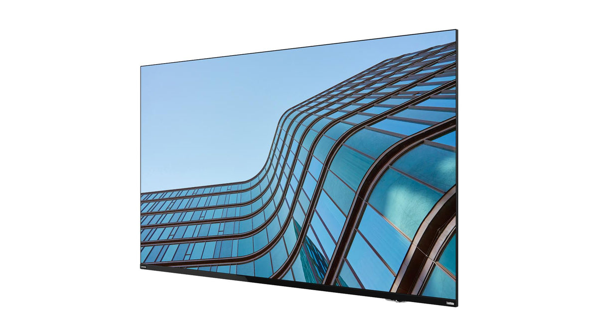 Lenovo ThinkVision E55 LFD Écran Plat 138,7 cm (54.6") 4K Ultra HD IPS Noir