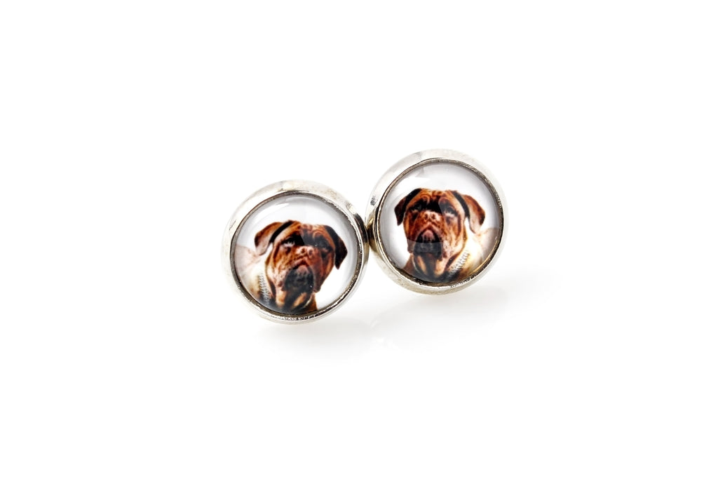 Dogue de Bordeaux, French Mastiff, Bordeauxdog - jewelry with your photo box, set of necklace and earrings, personalized products from the Art-Dog brand