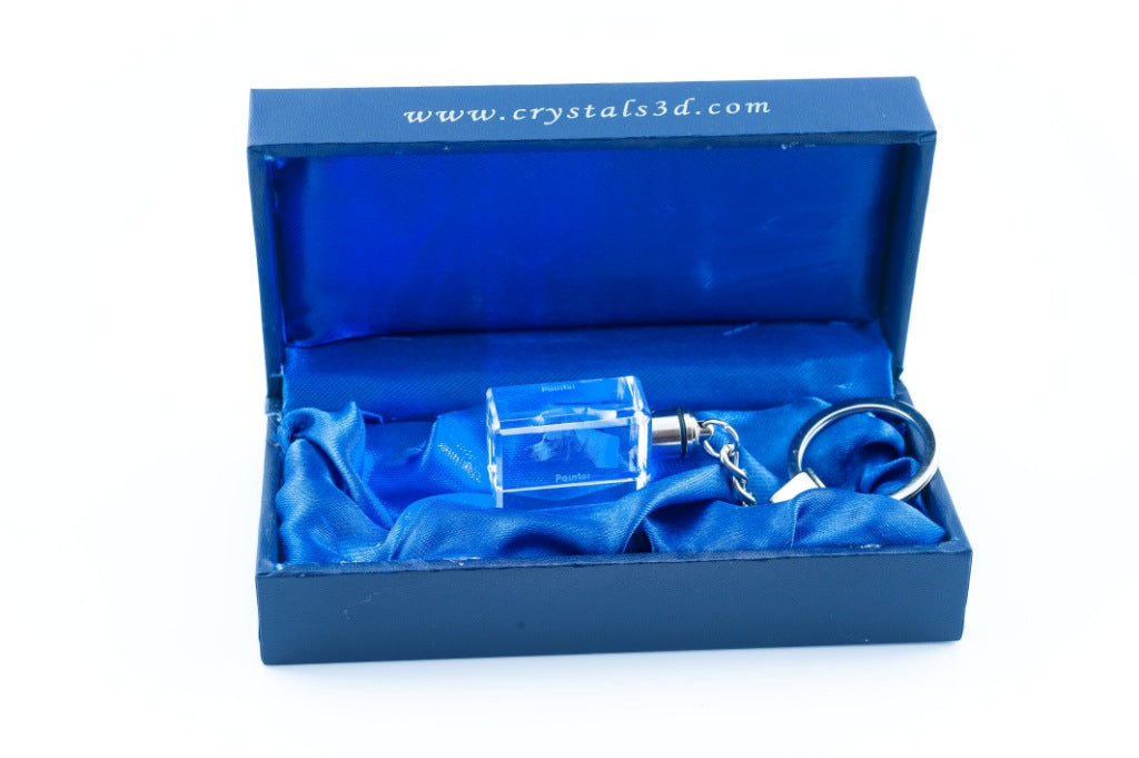 English Pointer I - Crystal key ring with dog photo, illuminated key ring, unique gift by Art-Dog brand
