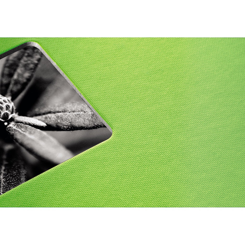Hama Fine Art Album Photo avec Protège-pages, Vert, 50 Feuilles, 10 x 15 cm