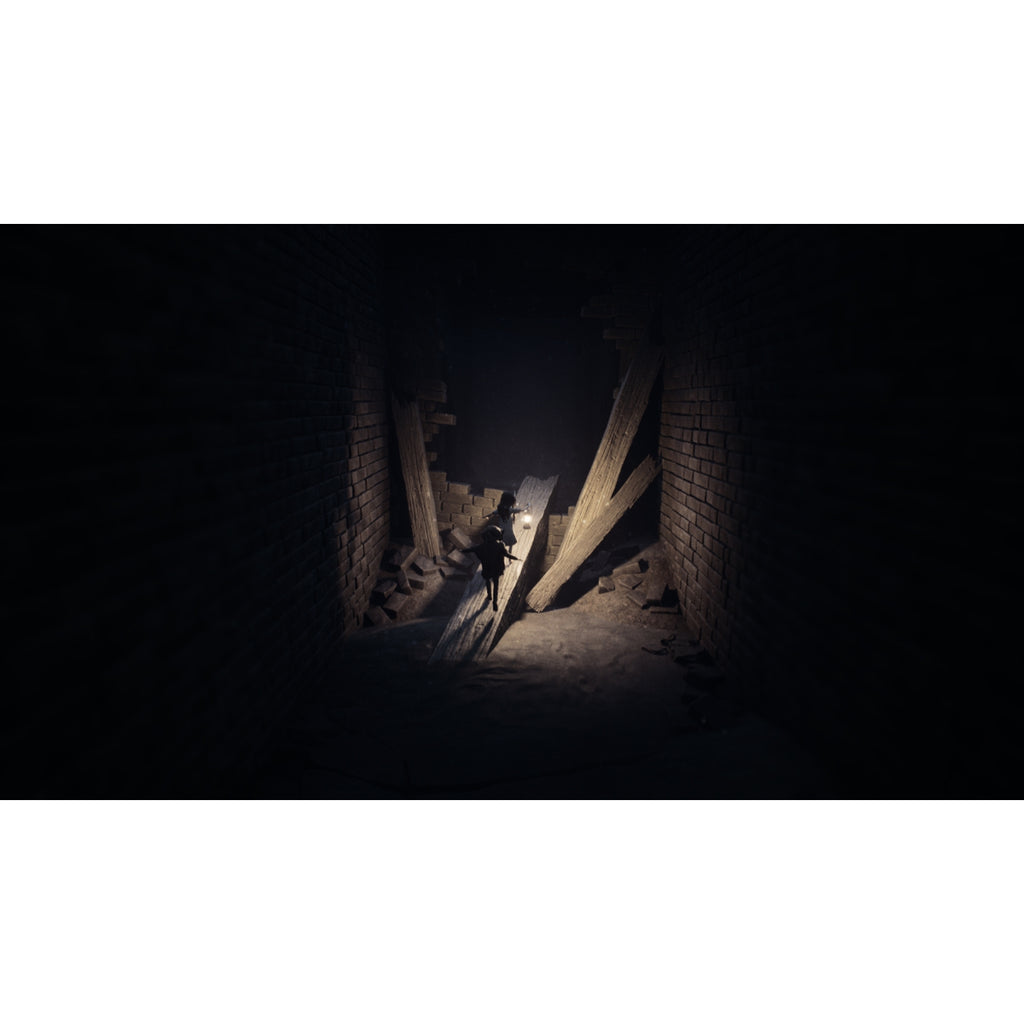 Thq Nordic Reanimal PS5