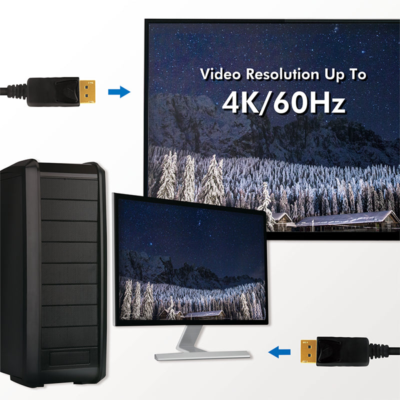 LogiLink CD0100 câble DisplayPort 1 m Noir