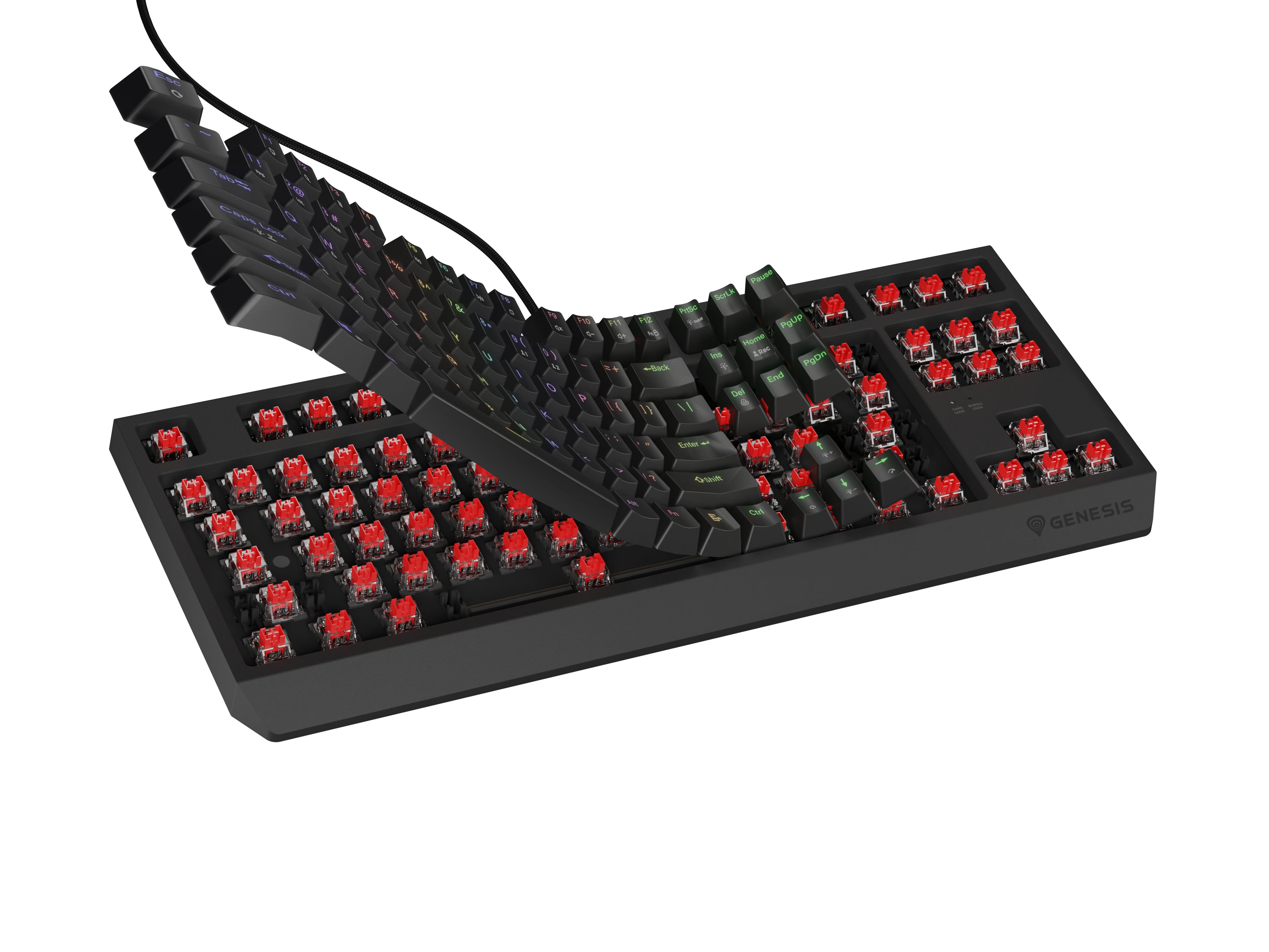 GENESIS Thor 230 TKL clavier Gaming USB + RF Wireless + Bluetooth QWERTY Noir