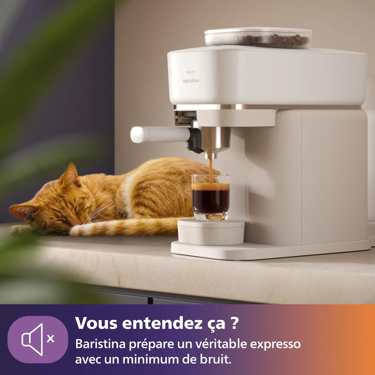Philips Baristina BAR300/00 Machine Expresso