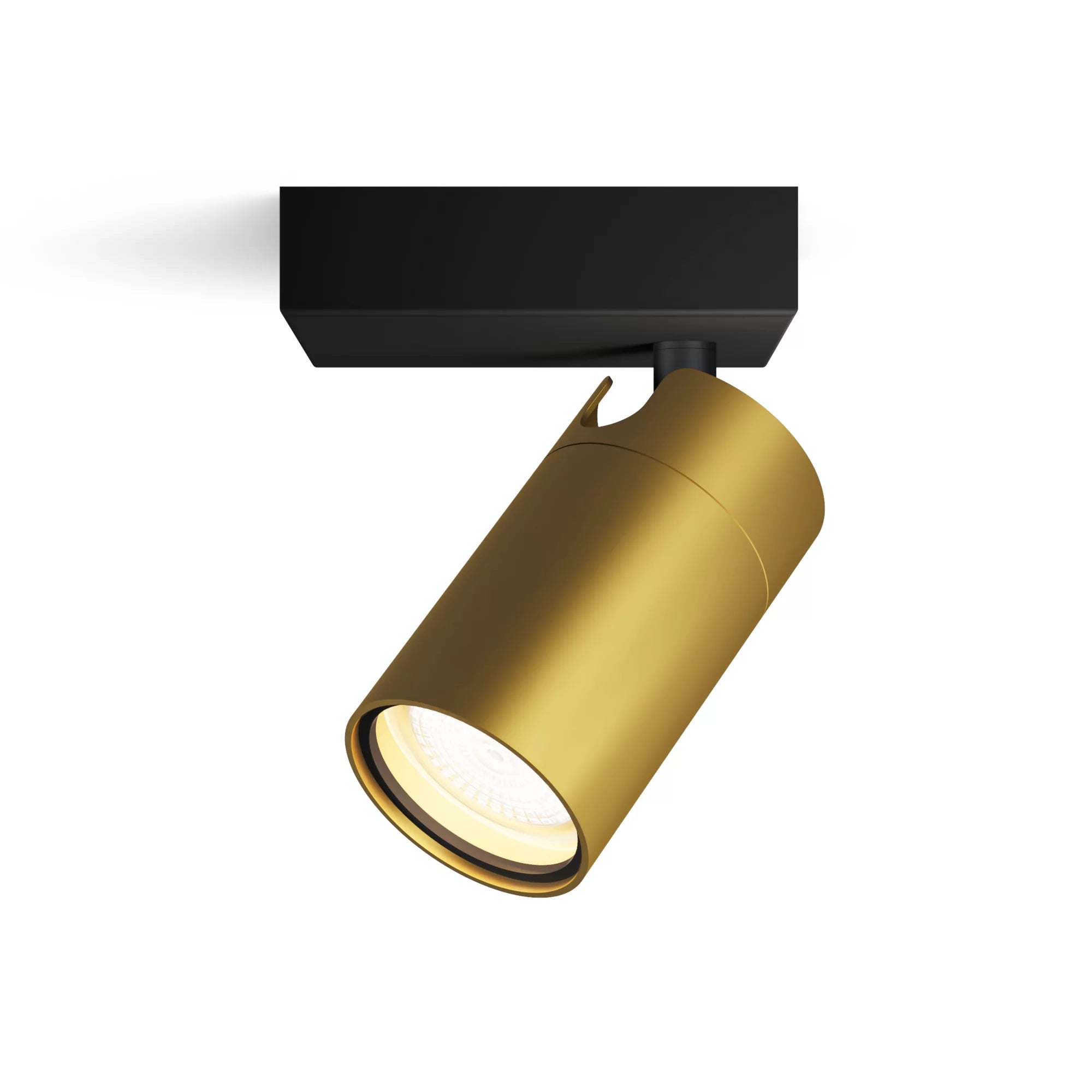 Philips Spot plafond/mur Idris