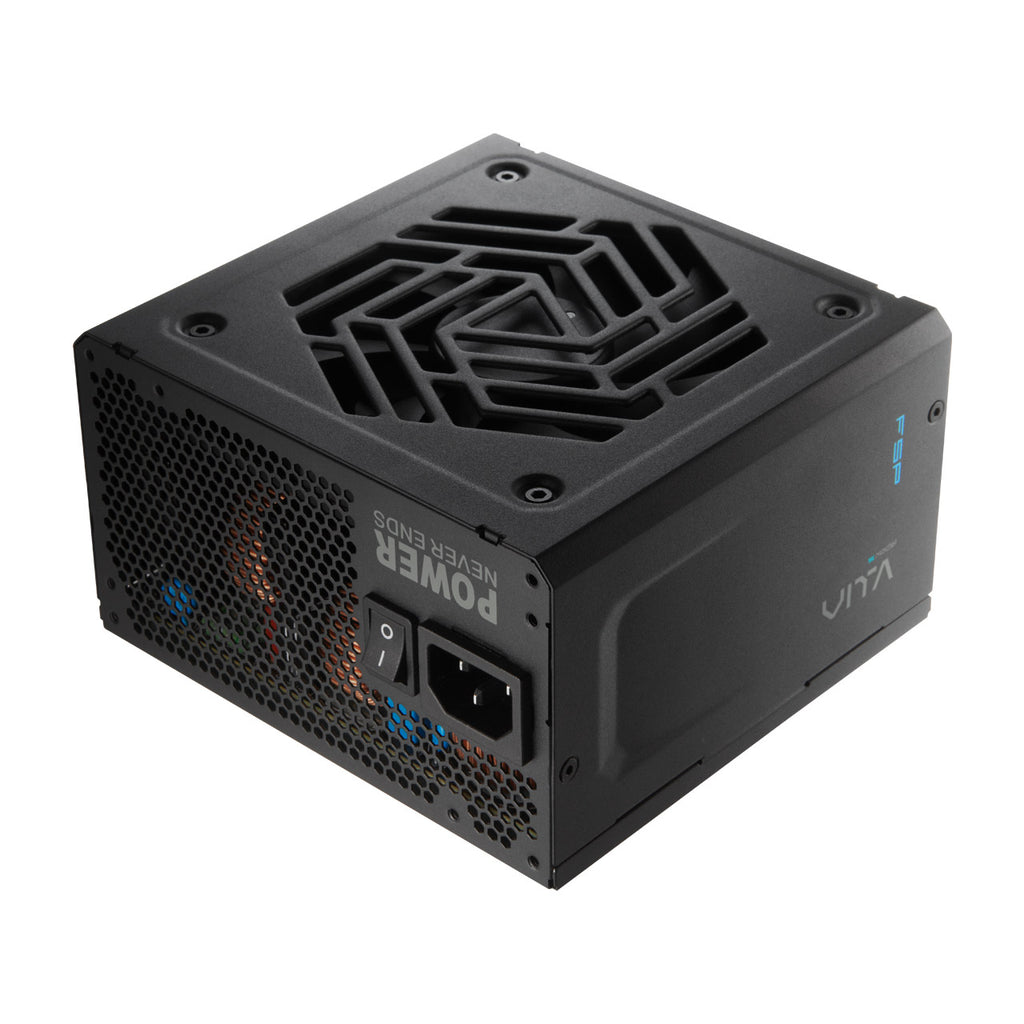 FSP VITA GM 650W unité d'alimentation d'énergie 20+4 pin ATX ATX Noir