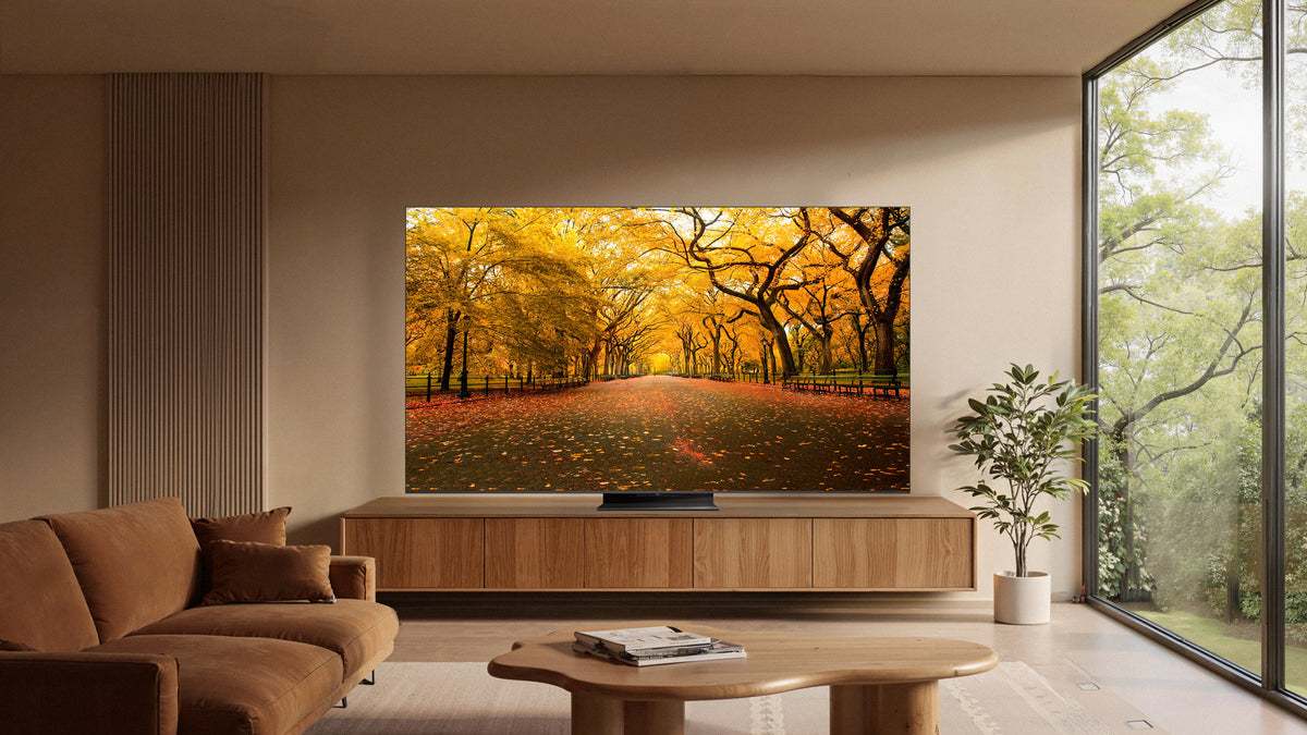 TCL C8L 65C8L TV 165,1 cm (65") 4K Ultra HD Smart TV Wifi Noir 6000 cd/m²