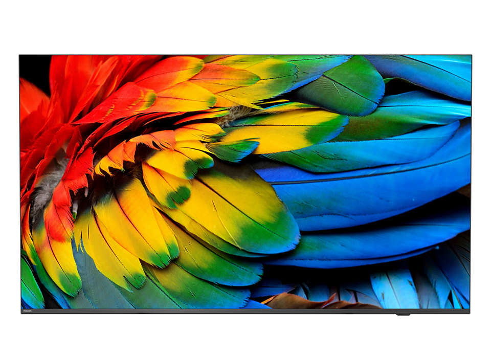 Philips Philips 43HFL6214U 109,2 cm (43") 4K Ultra HD Smart TV Wifi Anthracite 400 cd/m² Écran enroulable